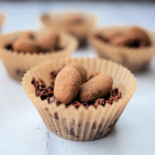 Raw Chocolate Coconut Easter Nests