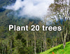 Plant 20 Trees - The Raw Chocolate Company