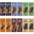 Raw Chocolate Bar Collection (15% off RRP) - The Raw Chocolate Company 