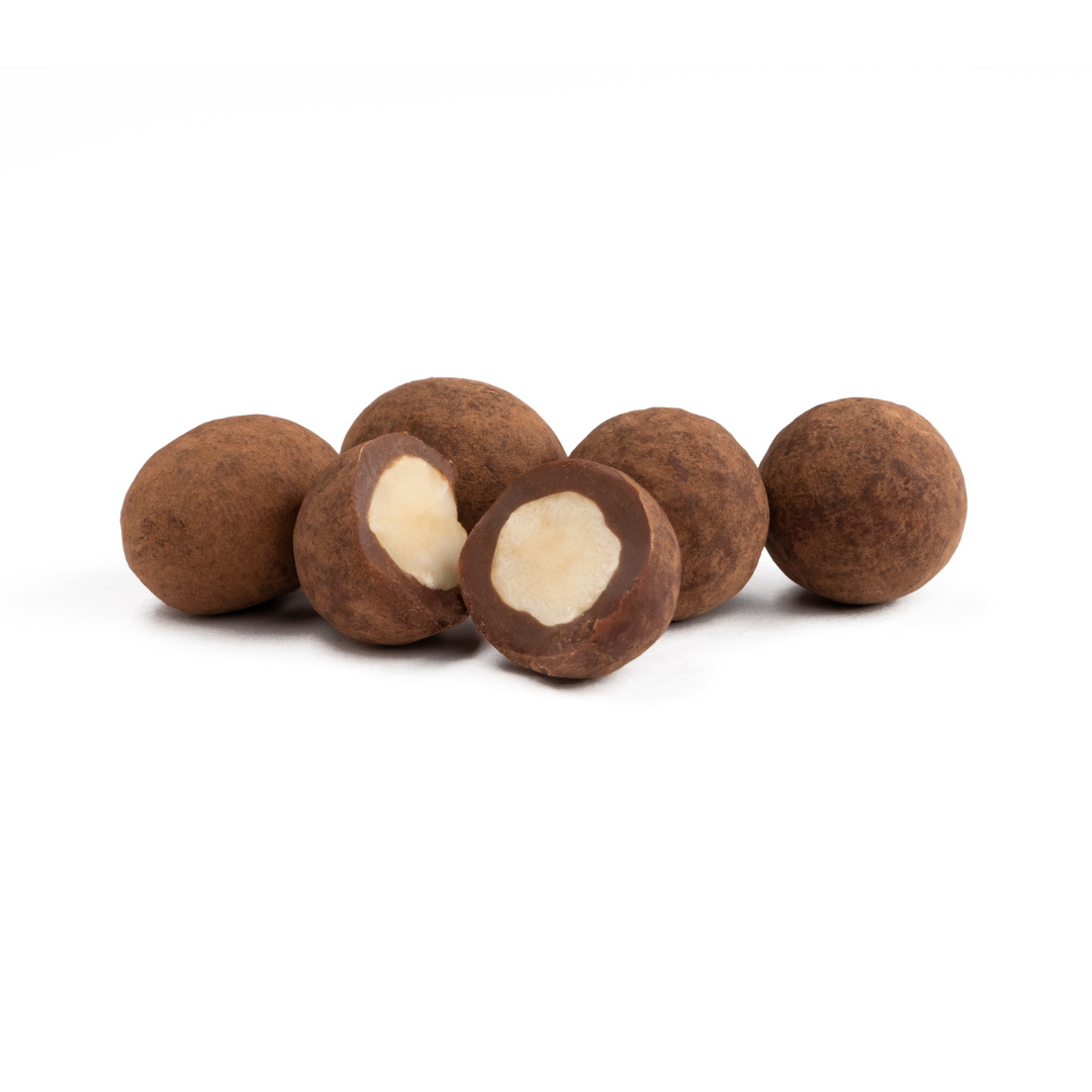 Salty Chocolate Hazelnuts - The Raw Chocolate Company 