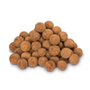 Salty Chocolate Hazelnuts - The Raw Chocolate Company